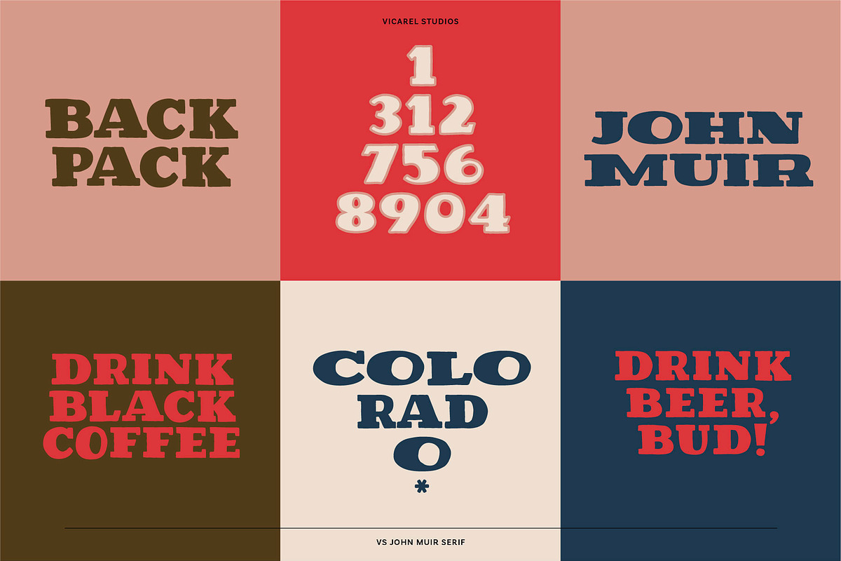 VS John Muir Serif Vintage Font, a Slab Serif Font by Vicarel Studios (Photo 7 of 12)