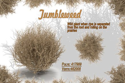 Tumbleweed, an Environmental 3D Model by AndrewWhite