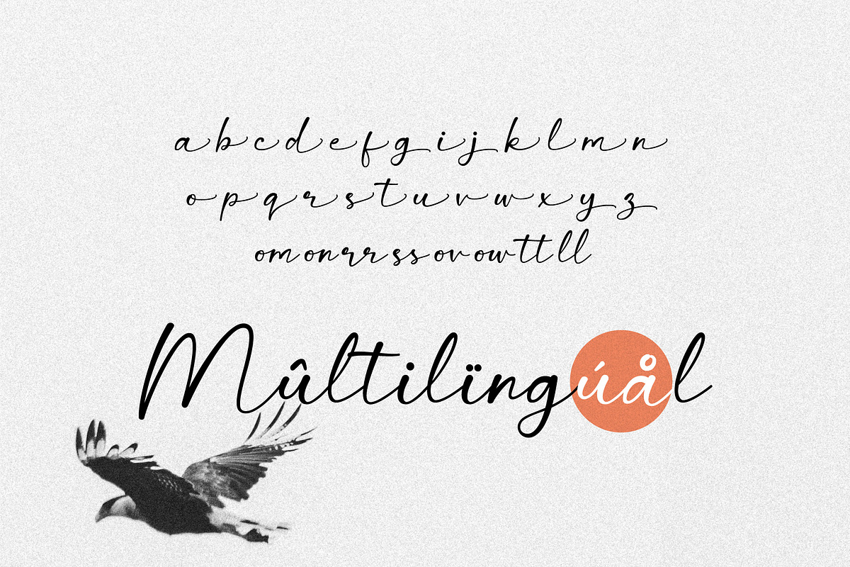 Wing Signature - Elegant Script, a Script Font by Salamahtype (Photo 8 of 8)