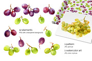 Watercolor grapes, a Food Illustration by ognivo (Thumbnail 2 of 2)