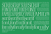 Raiden - Serif font family, a Serif Font by Artistic & Unique (Thumbnail 6 of 13)