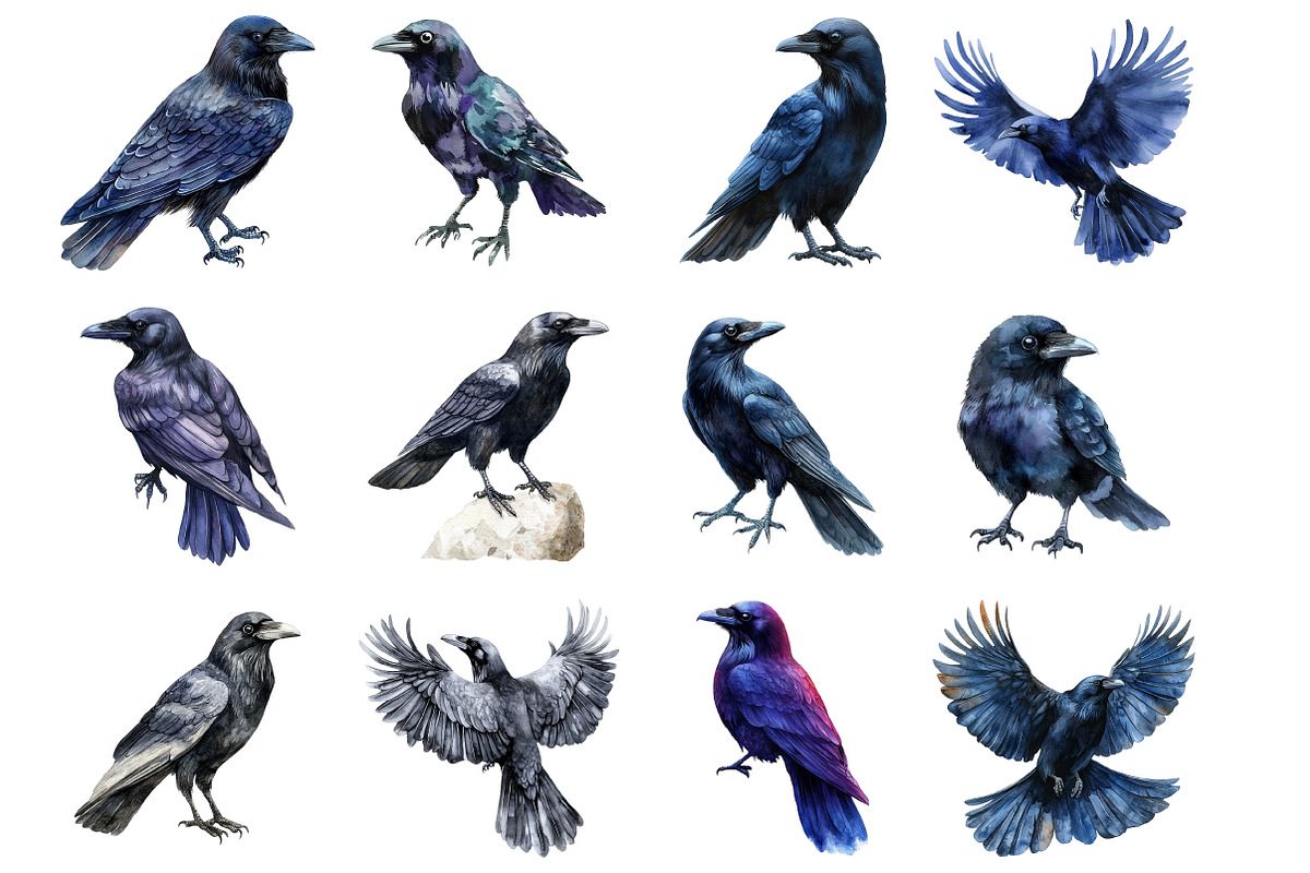 Watercolor Ravens Clipart, an Illustration by SinaCreation (Photo 3 of 5)