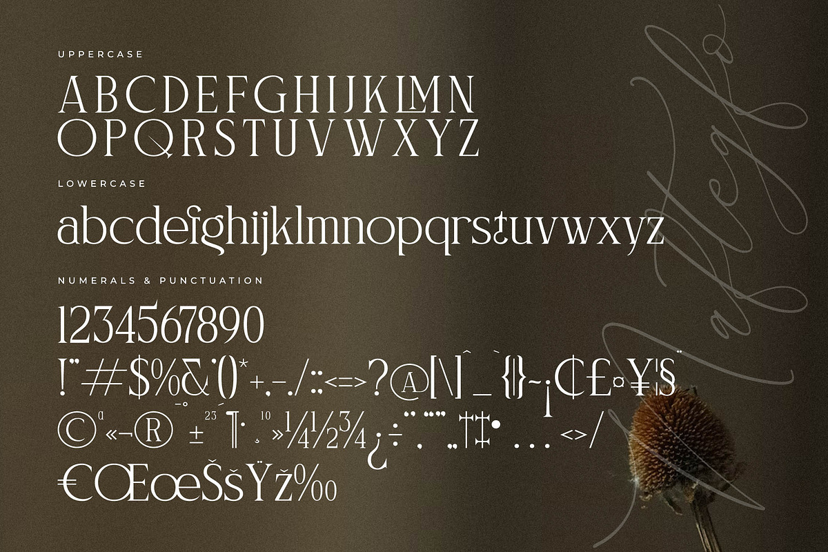 Naftegfo A New Modern Serif, a Serif Font by Storytype Studio (Photo 12 of 15)