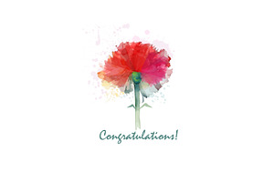 One carnation flower greeting card, an Object Illustration by Nenahliadava Design