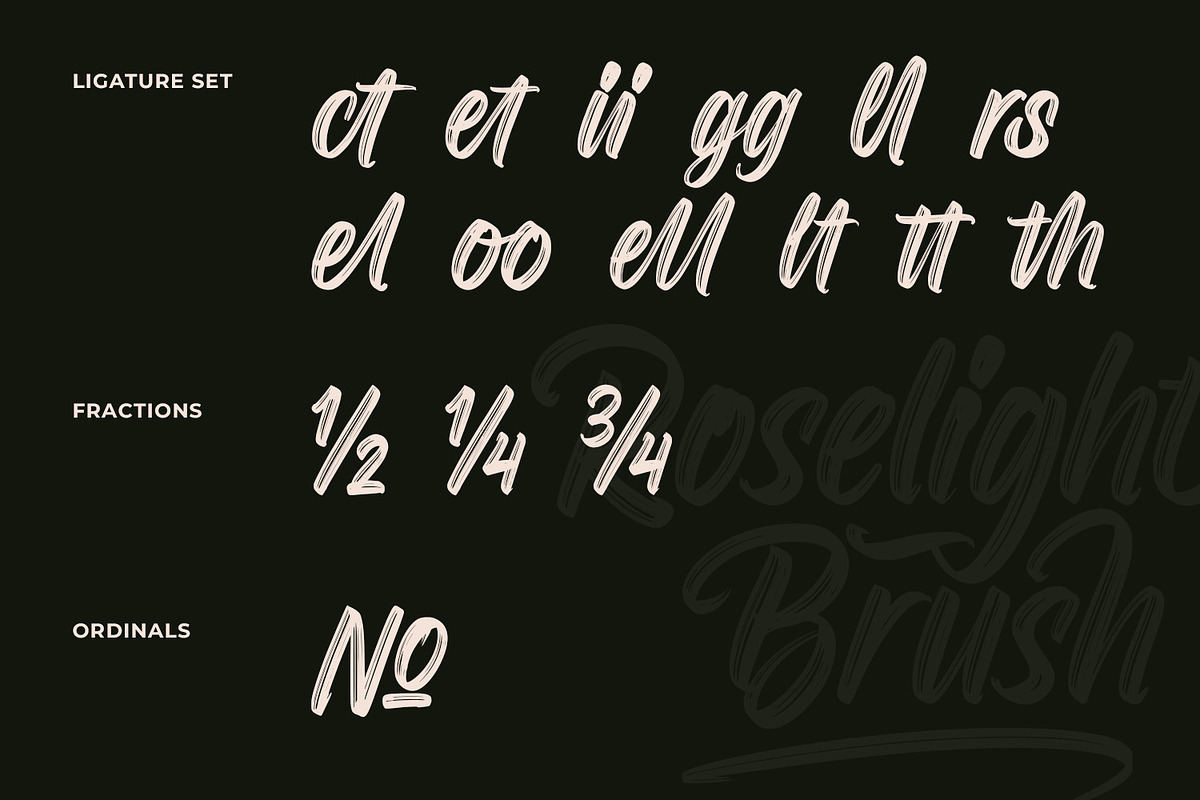 Roselight Brush, a Script Font by din-studio.com (Photo 15 of 16)