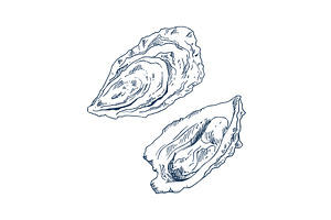 Seafood Delicacy Bivalve Clam Oyster, an Animal Illustration by robuart