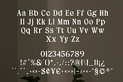 Gilgans Classic Serif Typeface, a Serif Font by Violet Natural (Thumbnail 7 of 8)