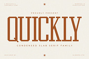 Quickly — Variable Slab Serif Font, a Slab Serif Font by Almeera Std (Thumbnail 1 of 9)