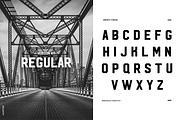 HUDSON NY FAMILY, a Slab Serif Font by Arkitype (Thumbnail 2 of 6)