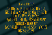 Rolanes || Elegant Serif Font, a Serif Font by Ermedia Studio (Thumbnail 10 of 10)