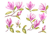 Watercolor of Blooming Magnolia, a Decorative Illustration by Kotkoa (Thumbnail 4 of 5)