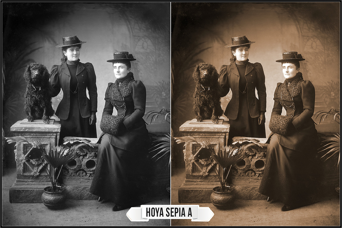 Lens Color Special Filters Profiles preview 8