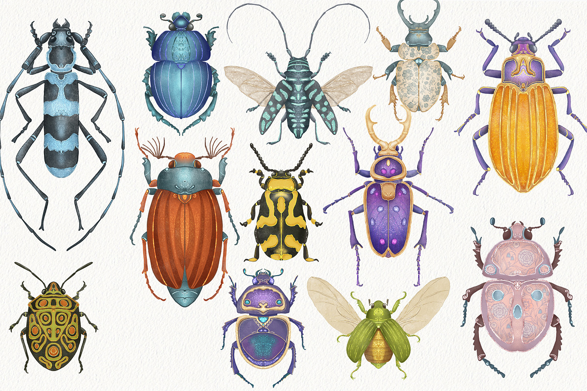 Vintage Beetle Clipart Patterns, an Animal Illustration by AlenaVlasko stock Market (Photo 4 of 5)