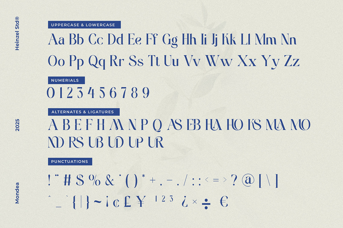 Mondeba Modern Serif Font, a Serif Font by Heinzel Std (Photo 12 of 13)