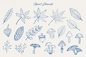 Autumn Hand-Drawn Clipart & Frames