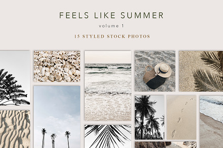 Feels Like Summer 1, a Holiday Photo by Floral Deco