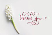 Fanthastic Script, a Script Font by Jhoel Design (Thumbnail 9 of 10)