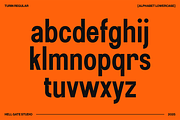 Turin Modern Sans Display, a Sans Serif Font by GRVS Studio (Thumbnail 3 of 14)
