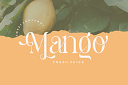 Pastel Orange - Casual Serif Fonts, a Serif Font by HansCo Studio (Thumbnail 2 of 12)