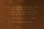 The Frangko Elegant Serif Font, a Serif Font by Graphicxell (Thumbnail 7 of 8)