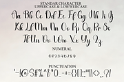 Signature Enchanting, a Handwritten Font by FreshTypeINK (Thumbnail 8 of 8)