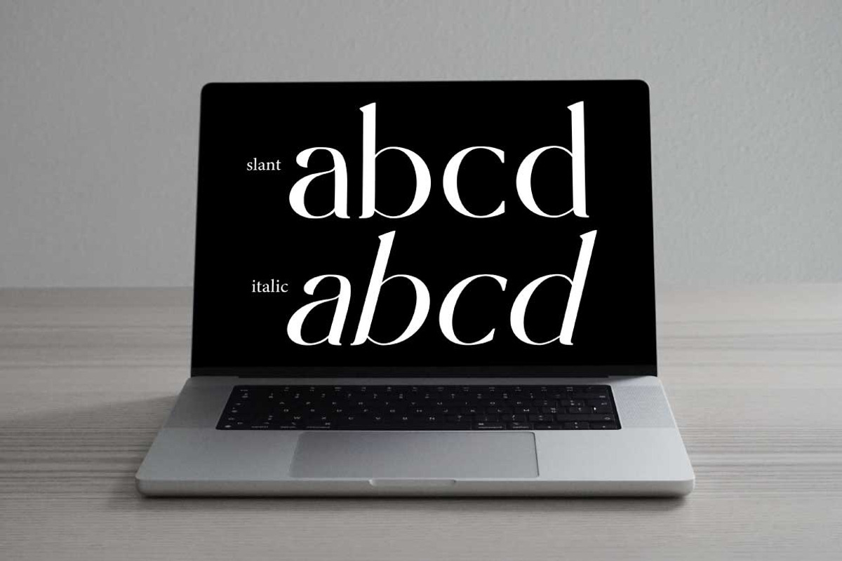 Half Love Serif Display Elegant, a Serif Font by Cut Story (Photo 9 of 14)