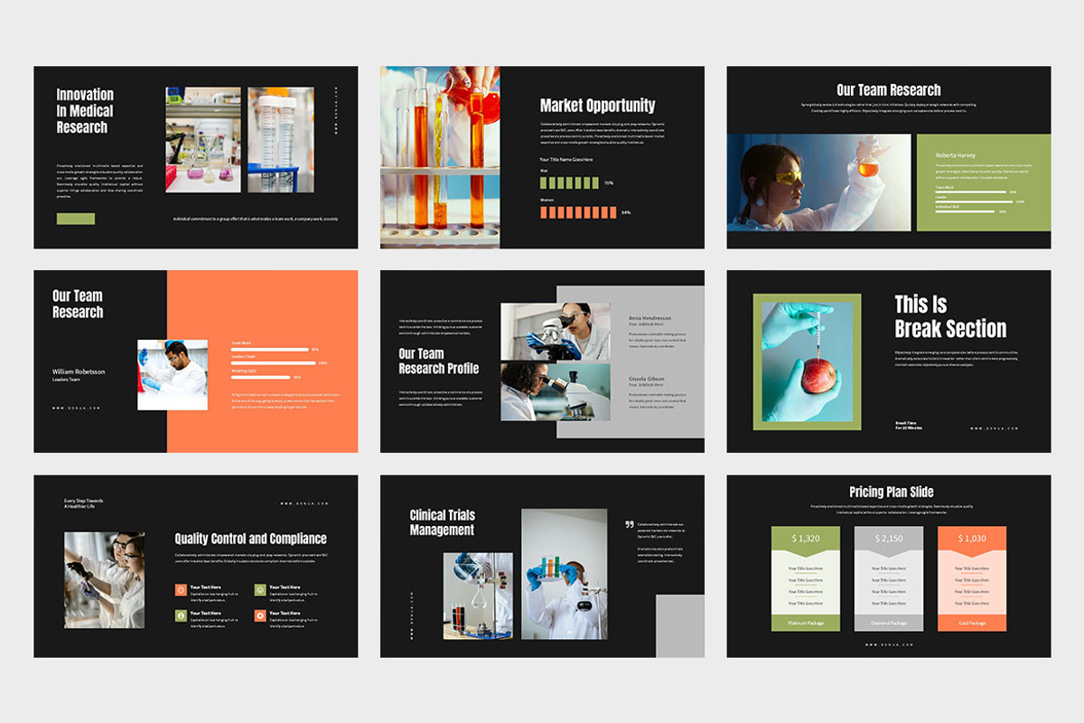 Bonua : Research Keynote, a Presentation Template by Punkl Camp (Photo 3 of 9)