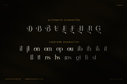 Brilion Elegant Serif Font, a Serif Font by Graphicxell (Thumbnail 8 of 8)