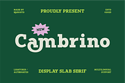 Cambrino Display Slab Serif Font, a Slab Serif Font by Rasio Studio (Thumbnail 1 of 7)