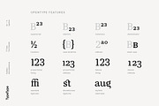 TT Tricks, a Serif Font by TypeType (Thumbnail 6 of 10)