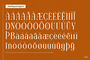 Raxiael | Modern Classic Serif, a Serif Font by Denustudios (Thumbnail 14 of 16)