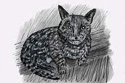 Procreate Charcoal Brush Set, a Brush Add-On by Brush Moment (Thumbnail 6 of 9)