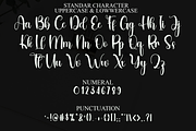Thomshon, a Handwritten Font by FreshTypeINK (Thumbnail 3 of 8)