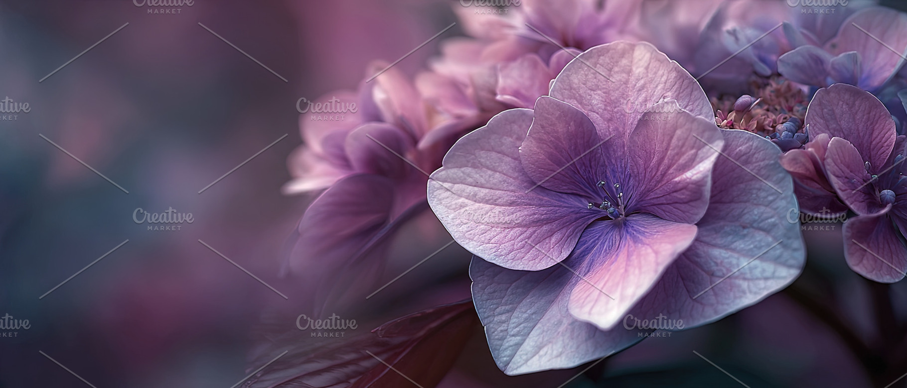 Close-up of vibrant purple hydrangea flower with soft focus back, an Animal Photo by Ales Munt