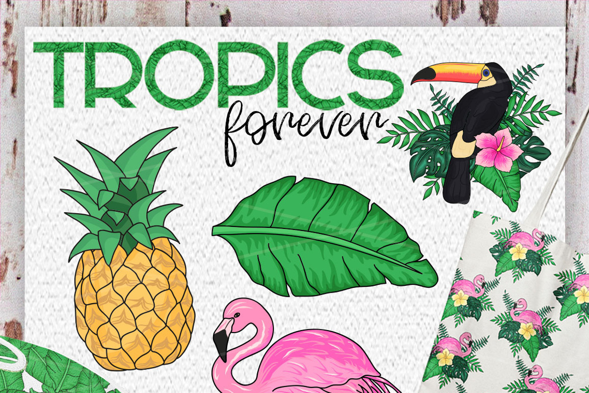 Tropics Forever! Vector set, an Animal Illustration by CallMeStasia (Photo 7 of 7)