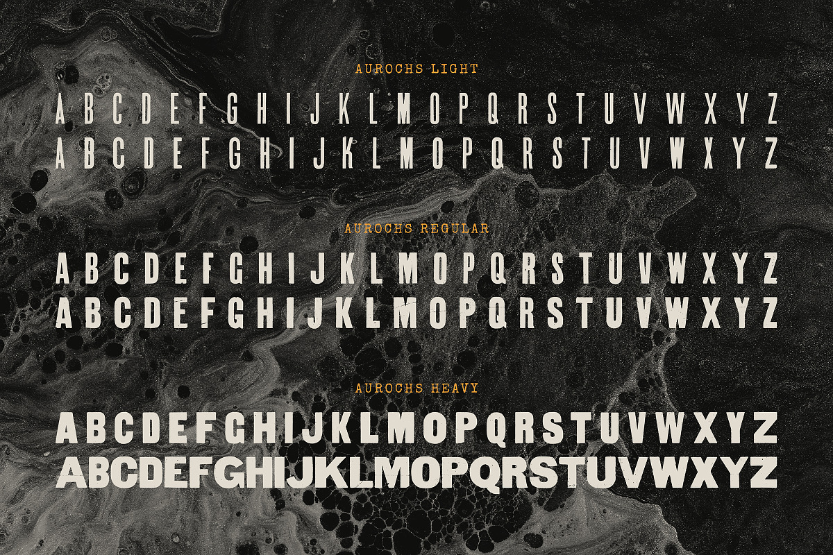Aurochs: letterpress type family, a Sans Serif Font by Polymath (Photo 7 of 12)