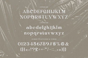 Debrian Decorative Serif