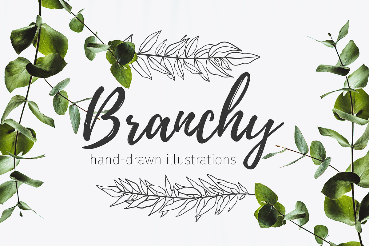 52 hand drawn branches, an Object Graphic by Wander Designs (Photo 1 of 6)