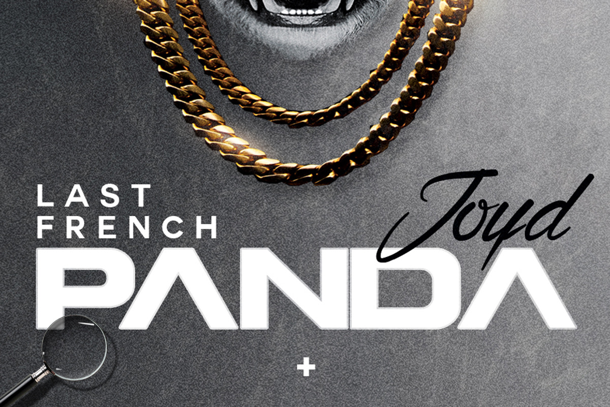 Panda | Conceptual Cover Template, a Flyer Template by GIGA-TEMPLATE (Photo 6 of 6)