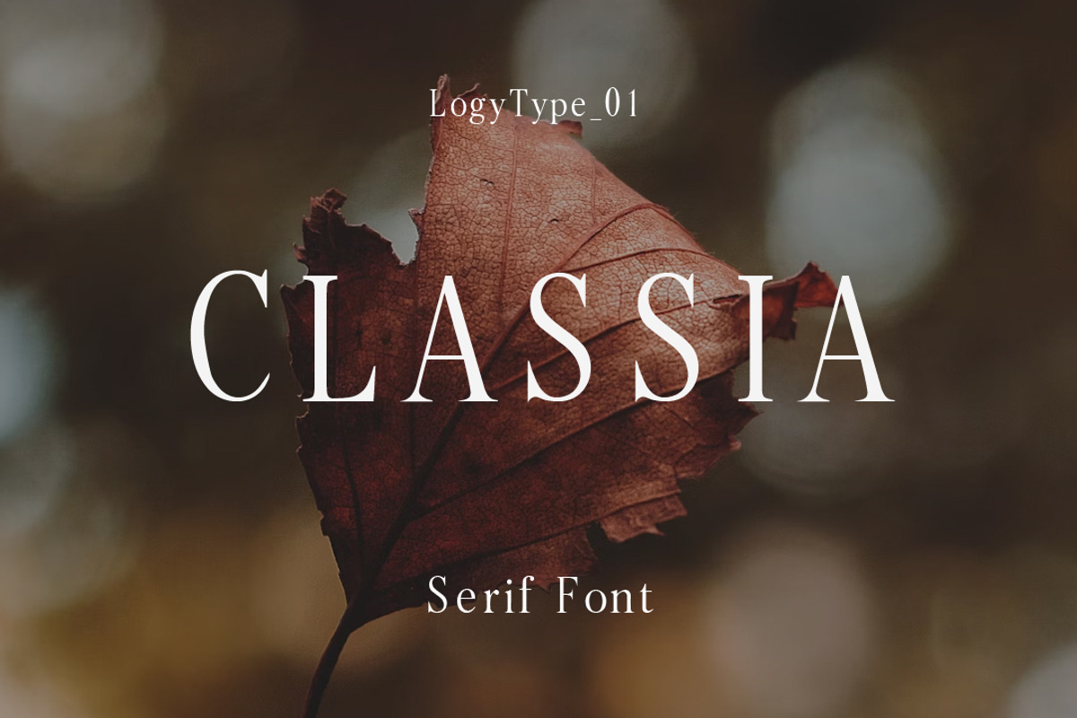 Classia Serif Font, a Font by Logy (Photo 1 of 5)
