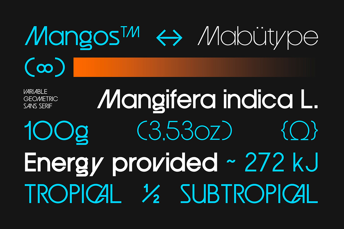 Mangos Sans, a Sans Serif Font by Mabütype (Photo 8 of 9)