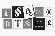 Calgine Serif, a Serif Font by MasaType (Thumbnail 7 of 12)