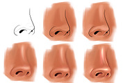 Procreate Nose lips eyes brushes, a Brush Add-On by Elenbushe (Thumbnail 5 of 5)