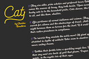 Kitten - 13 fonts, a Script Font by Zetafonts (Thumbnail 9 of 12)