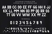 Nice Boho, a Script Font by InermediaSTUDIO (Thumbnail 8 of 8)