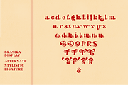 Brasika, a Font by nurrontype (Thumbnail 13 of 16)