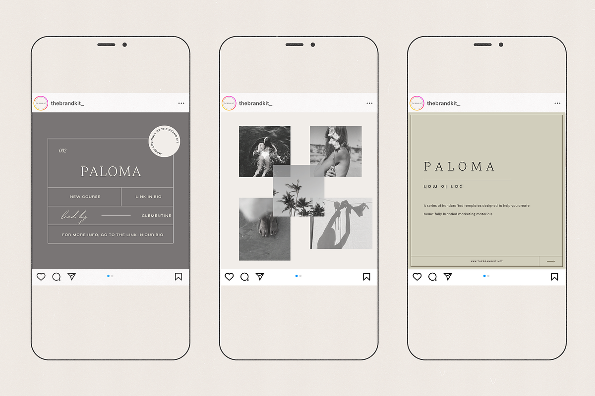 Paloma Social Media Kit, a Social Media Template by The Brand Kit (Photo 3 of 9)