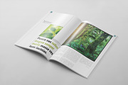 Magazine Template 29, a Magazine Template by pmvch (Thumbnail 3 of 10)