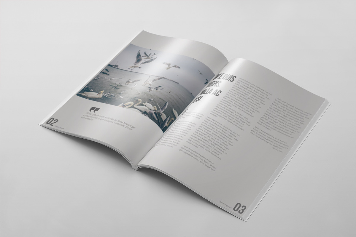 Magazine Template 48, a Magazine Template by pmvch (Photo 3 of 10)