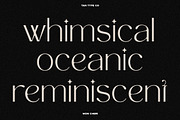 TAN - MON CHERI, a Sans Serif Font by TanType (Thumbnail 5 of 23)